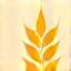 麦の穂のアイコン
